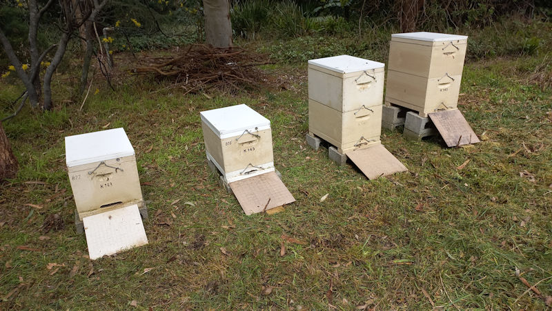 Beehive samples